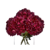Autumn Ruby Hydrangea