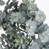 Green Frosted Medium Eucalyptus Candle Wreath