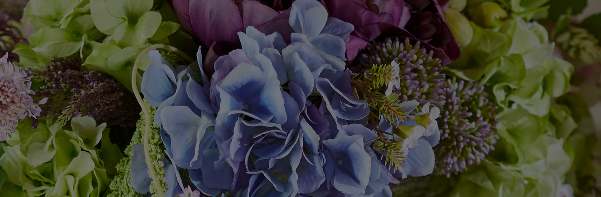 Autumn Burgundy Hydrangea