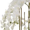 Large 5ft White Orchid in Antique Stone Pot