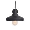 Lux Farmhouse Outdoor Light Black