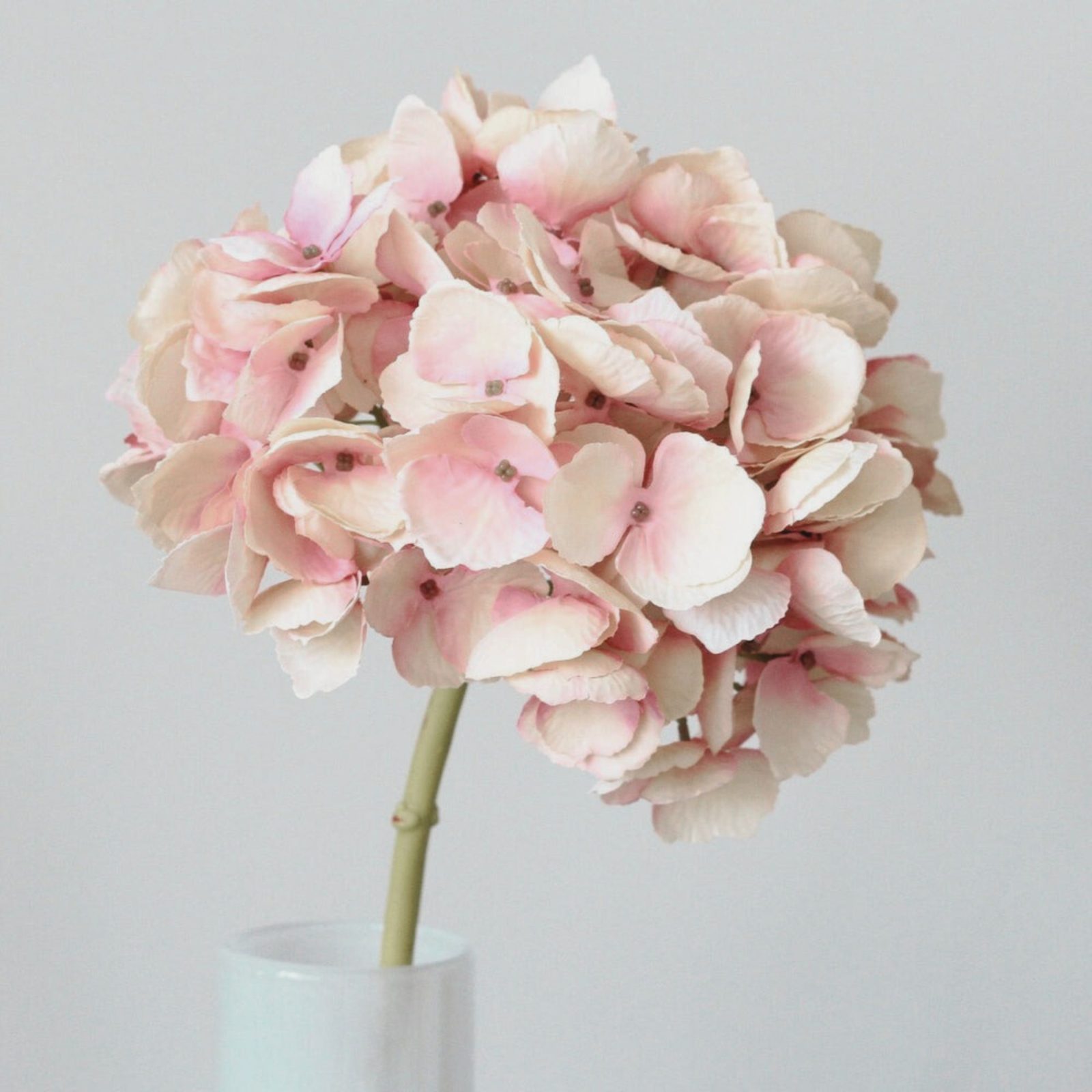 Caroline Jane Dusky Pink Hydrangea Stem 2b Dusky Pink Hydrangea Stem