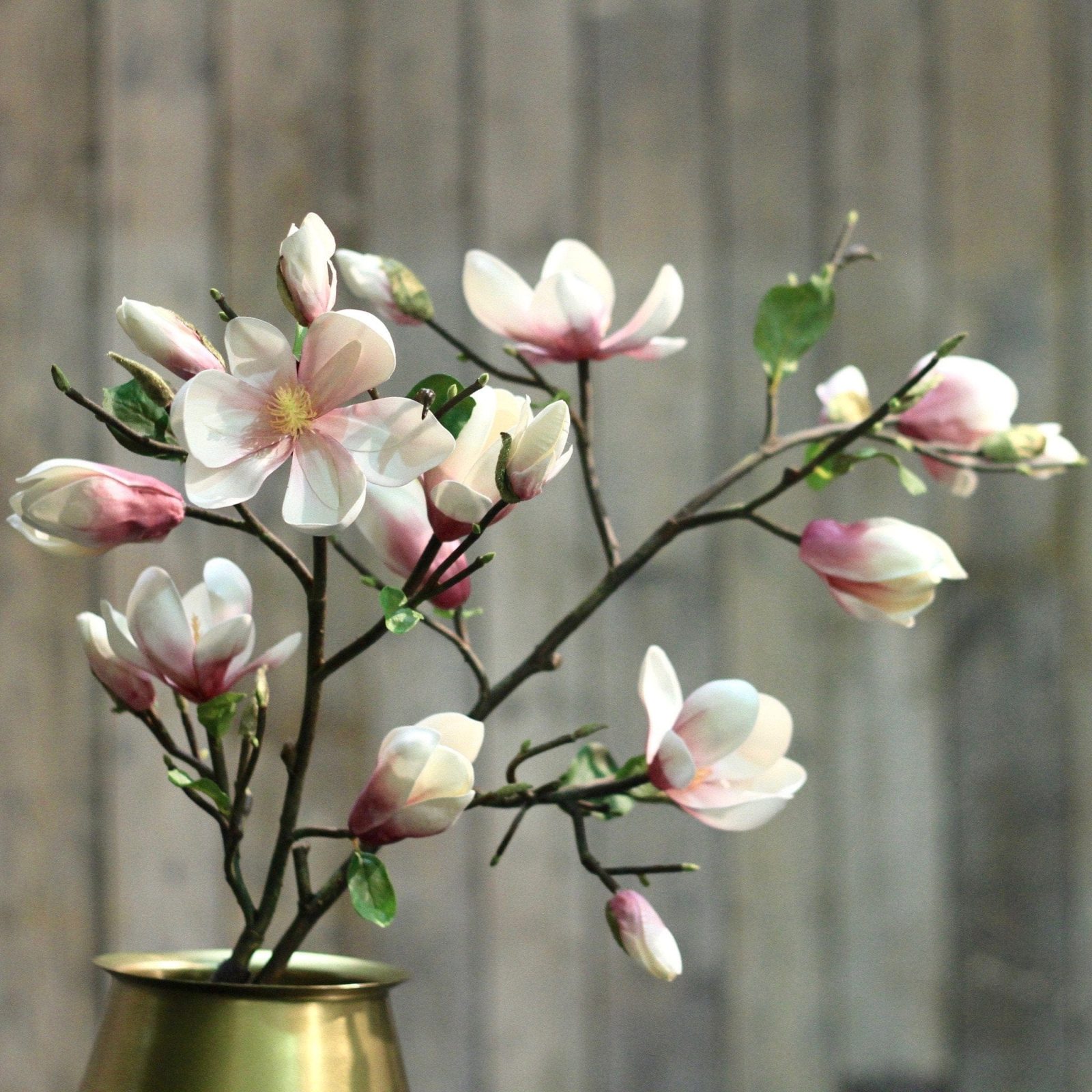 Tall Pink Magnolia Branch