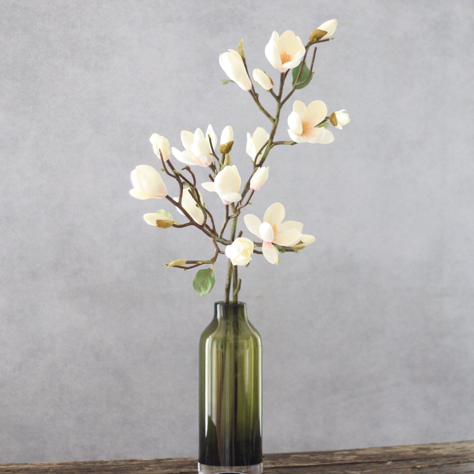 Tall White Magnolia Branch