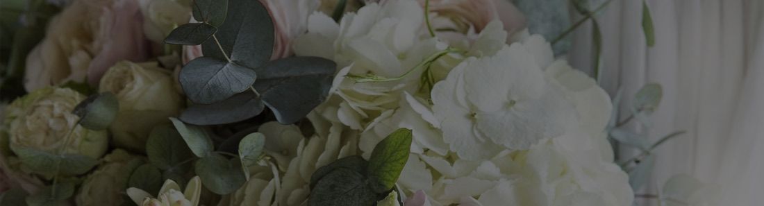 Cineraria Eucalyptus Spray