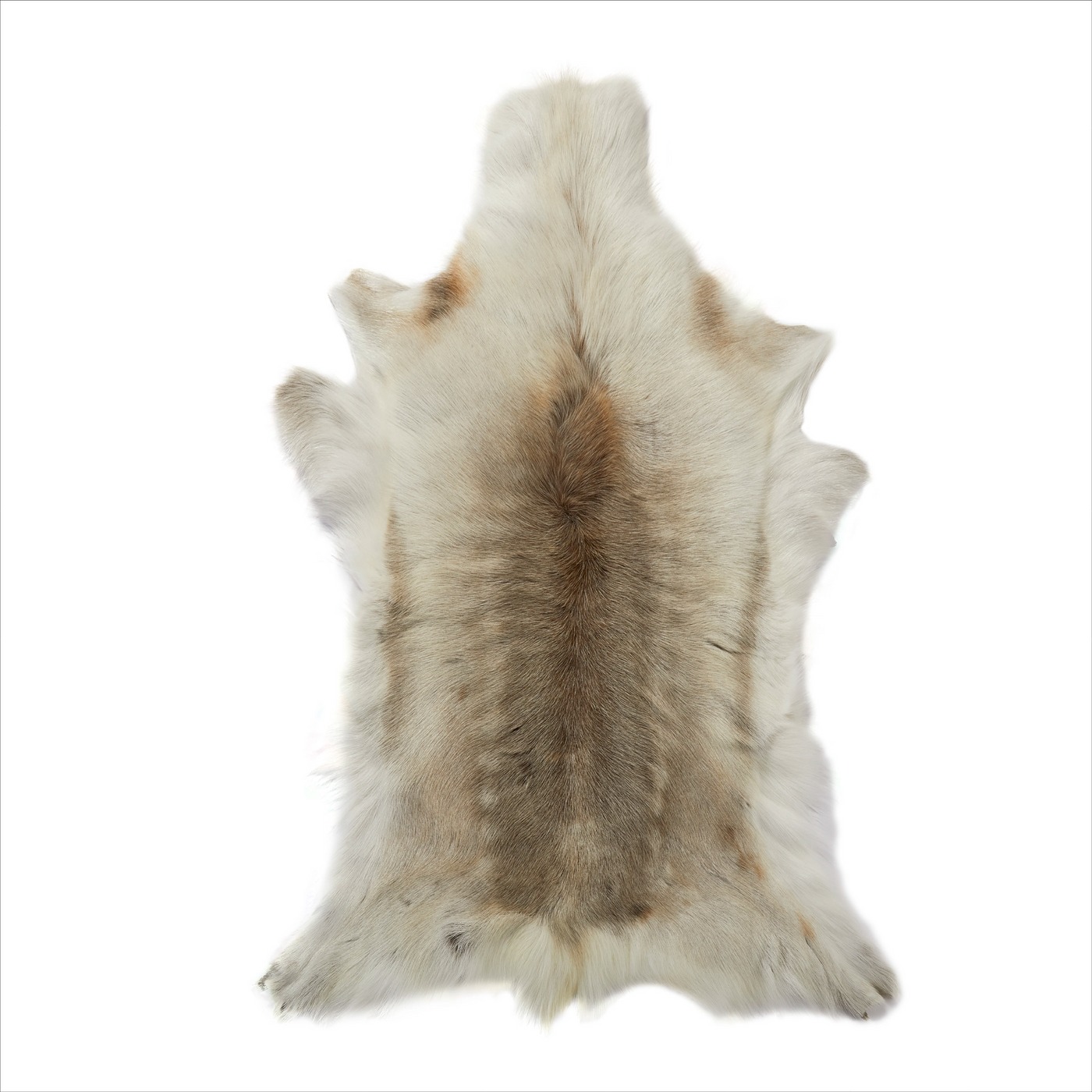 REIN-M-LIGHT 2 Light Coloured Reindeer Hide