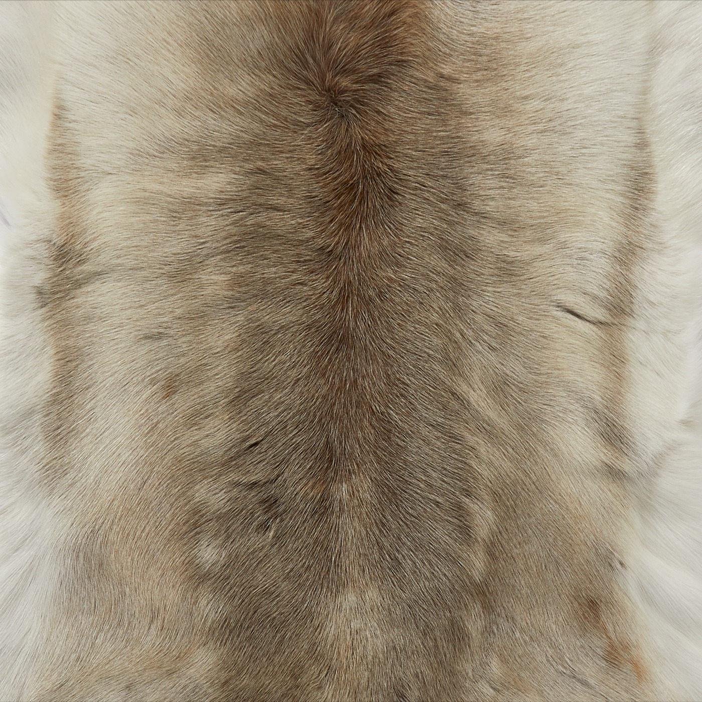 Light Coloured Reindeer Hide